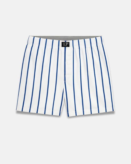 Blue Stripes Boxer